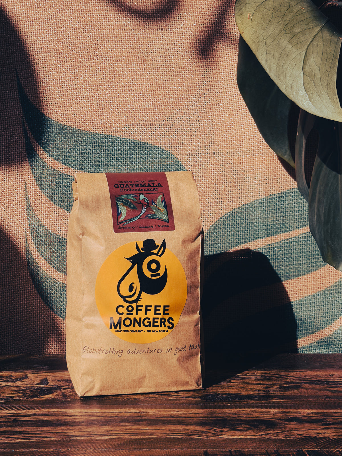 Guatemala - Huehuetenango SCA 83+