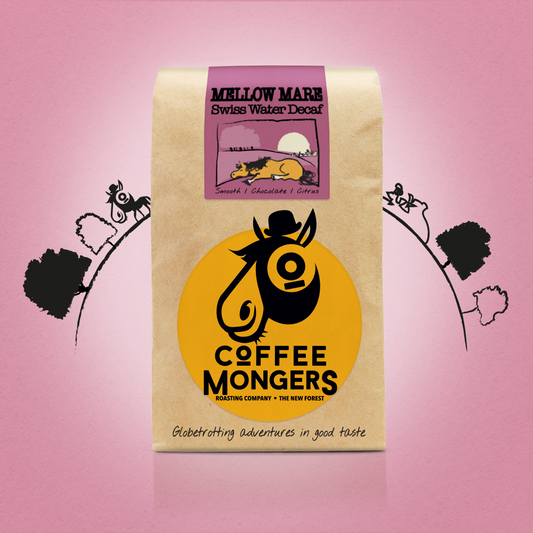 SWISS WATER DECAF - MELLOW MARE