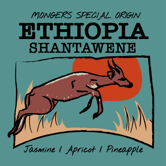 ETHIOPIA - SHANTAWENE - BOMBE - WASHED