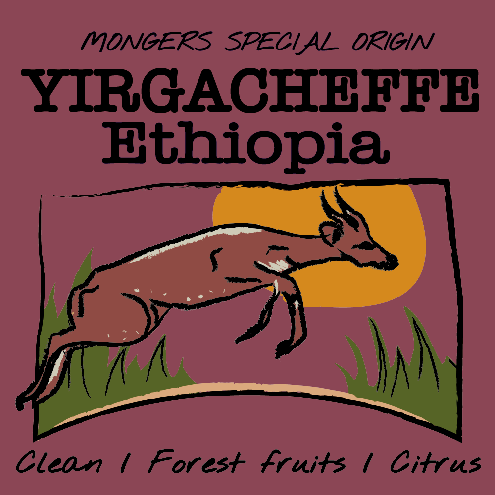 ETHIOPIA - YIRGACHEFFE