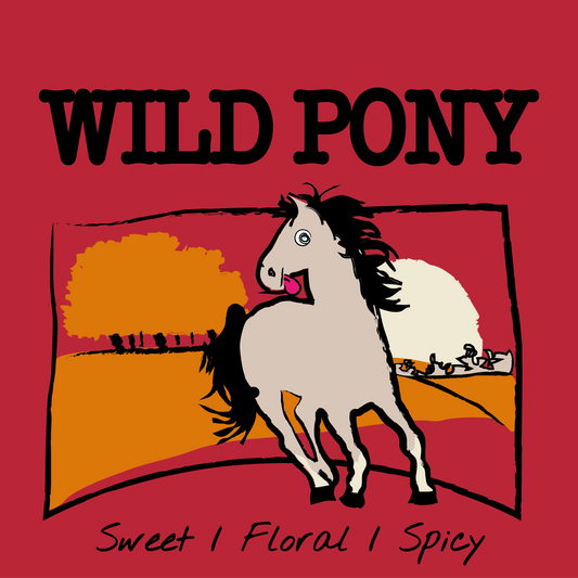 WILD PONY